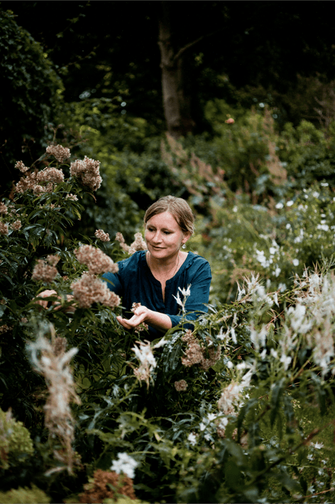 carien van boxtel tuin en landschapsontwerpen